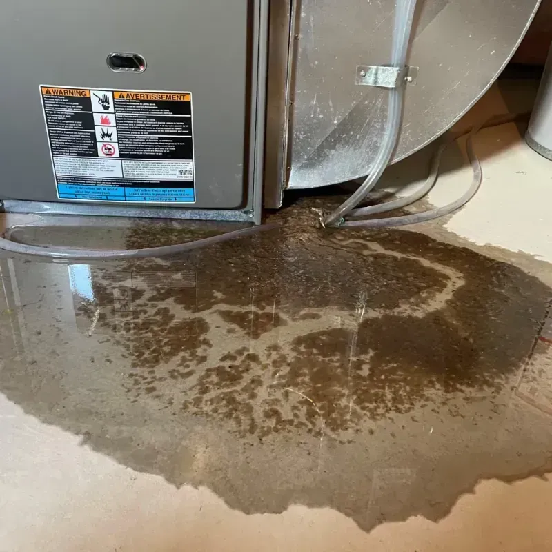 Appliance Leak Cleanup in Saucier, MS